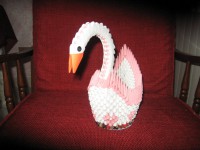 /album/galleria-foto-homepage/cigno-5-tot%c3%b2-marfia-jpg1/